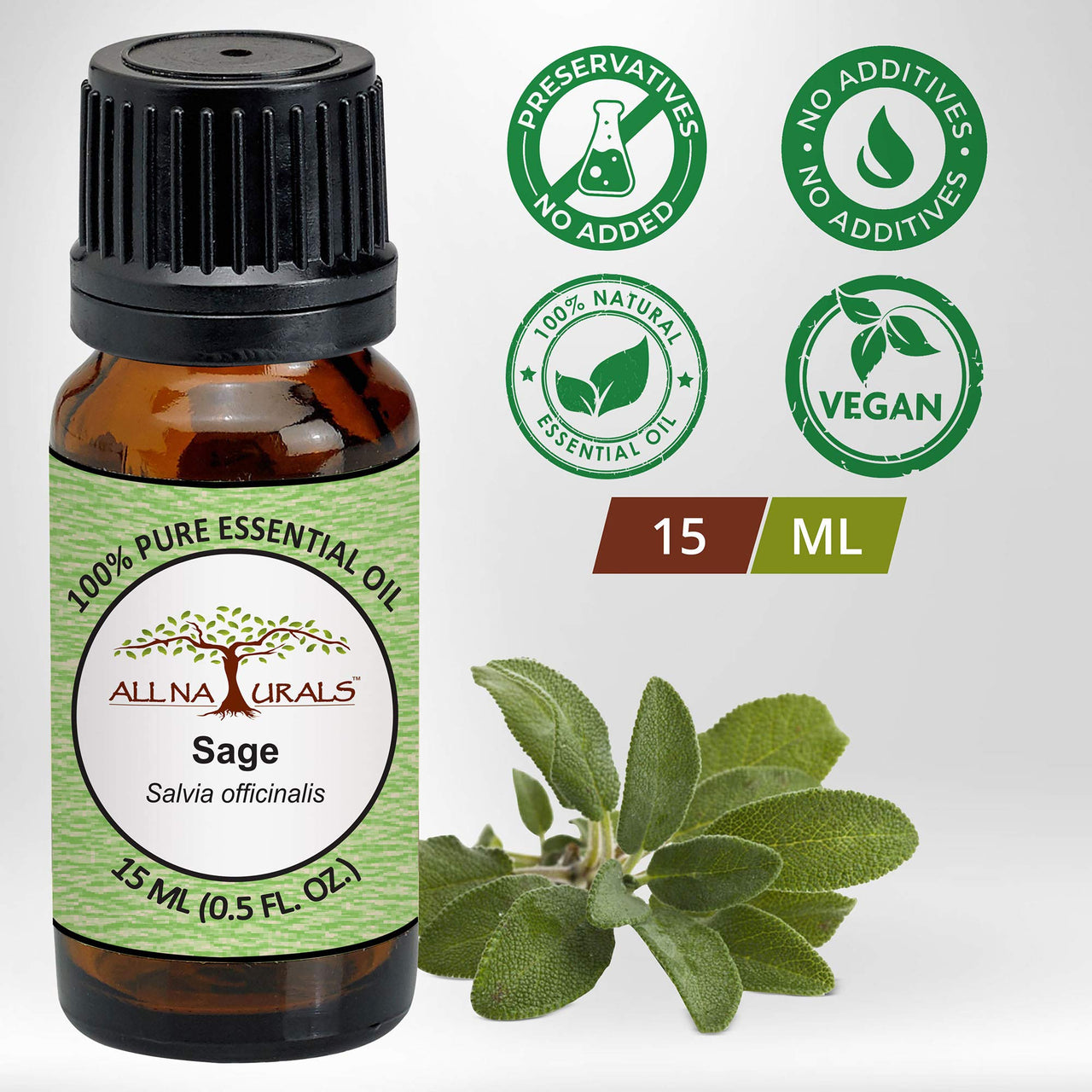 ALL NATURALS Sage Essential Oil 15ml (Kashmir) 100% Pure Undiluted for Aromatherapy, Vastu, Positivity & Clear Breathing