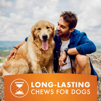 Dog Treats, K9 Kabobs for Dogs Made with Real Chicken, Duck, and Sweet Potato, 12 Ounces, Healthy, Easily Digestible, Long-Lasting, High Protein Dog Treat, Satisfies Dog's  Urge to Chew Chicken / Duck / Sweet Potato Kabob