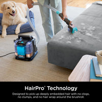 Shark StainStriker HairPro. Portable Carpet, Area Rug & Upholstery Spot & Stain Cleaner, Hair & Odor Eliminator for Carpets, Area Rugs, Upholstery & Cars. Perfect for Pets, Copper, PX251 Shark StainStriker w/ HairPro Technology