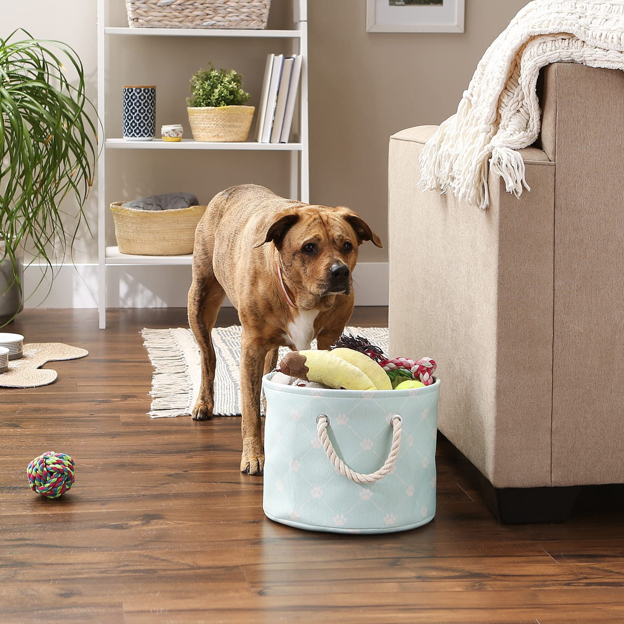 Bone Dry Pet Storage Collection Paw and Bone Print, Small Round, 9x12x12, Aqua Trellis Small Round, 9x12x12"