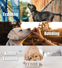 Whole Life Pet Just One Salmon Dog and Cat Value Packs - Human Grade, Freeze Dried, One Ingredient - Protein Rich, Grain Free, Made in The USA