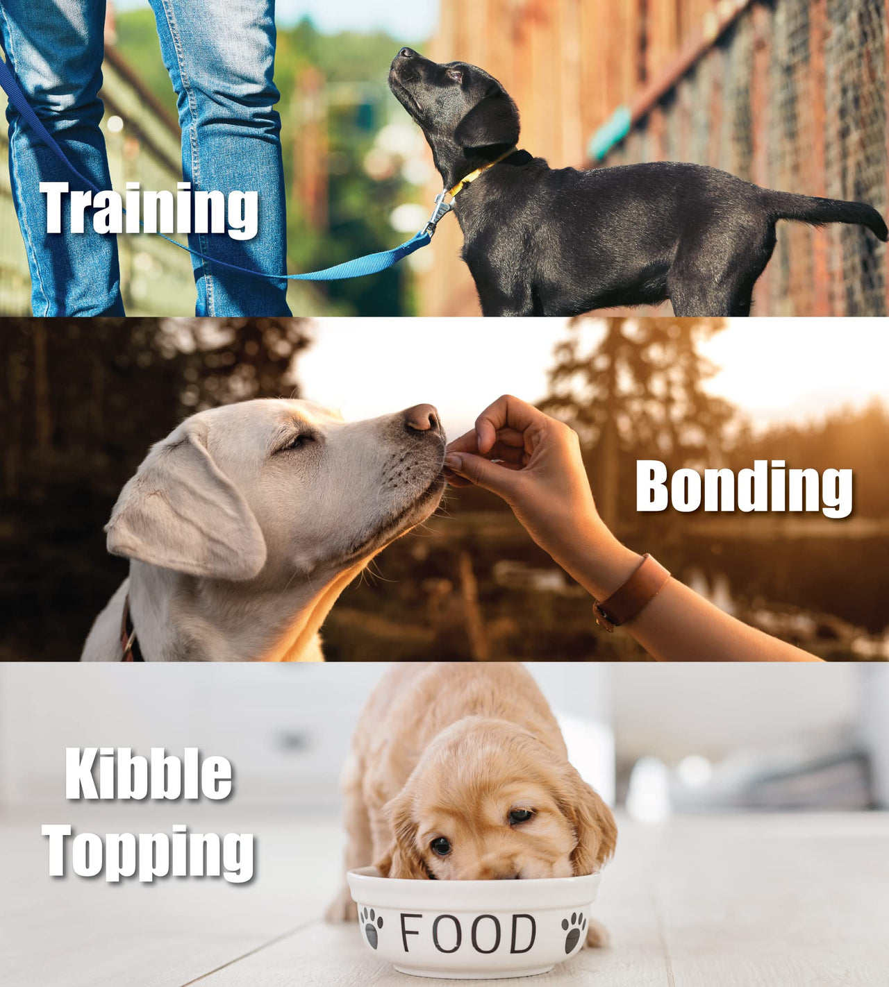 Whole Life Pet Just One Chicken Dog and Cat Value Packs - Human Grade, Freeze Dried, One Ingredient - Protein Rich, Grain Free, Made in The USA 21oz Bag