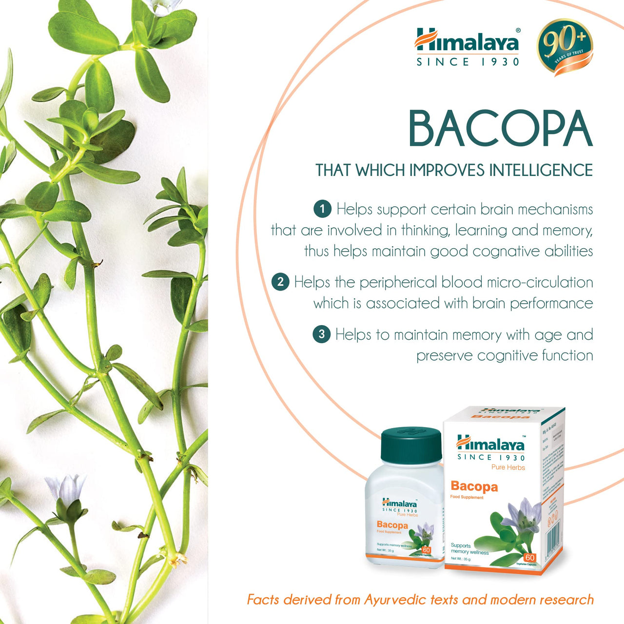 Himalaya Wellness Pure Herbs Hadjod Bone & Joint Wellness - 60 Tablet & Himalaya Wellness Pure Herbs Brahmi Mind Wellness - 60 Tablet