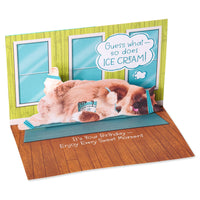 American Greetings Funny Birthday Card for Her (So Does Ice Cream)