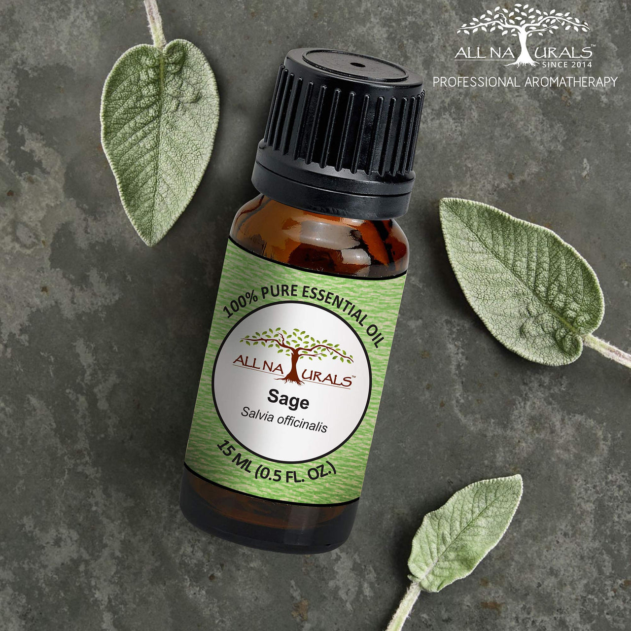 ALL NATURALS Sage Essential Oil 15ml (Kashmir) 100% Pure Undiluted for Aromatherapy, Vastu, Positivity & Clear Breathing