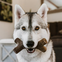 Real Bacon Medium 3-Pack Durable Dog Chew Toys for Aggressive Chewers, Made in USA – Wishbone, Zaggler, Stick Wishbone, Stick, Zaggler Medium - 3-Pack Pet Toy