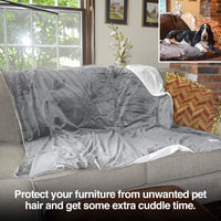 PetFusion Premium Dog Blanket, Cat Blanket | Ultra Soft Pet Blanket Available in Plush or Quilted, 2 Colors (Grey, Brown) | Perfect Blanket for Small Dogs & Large Dogs. 12 Month Warranty X-Large (60 x 48