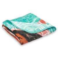 Northwest Disney Princesses, “Dreamers” 46 60-inch Micro Raschel Throw Company, 46