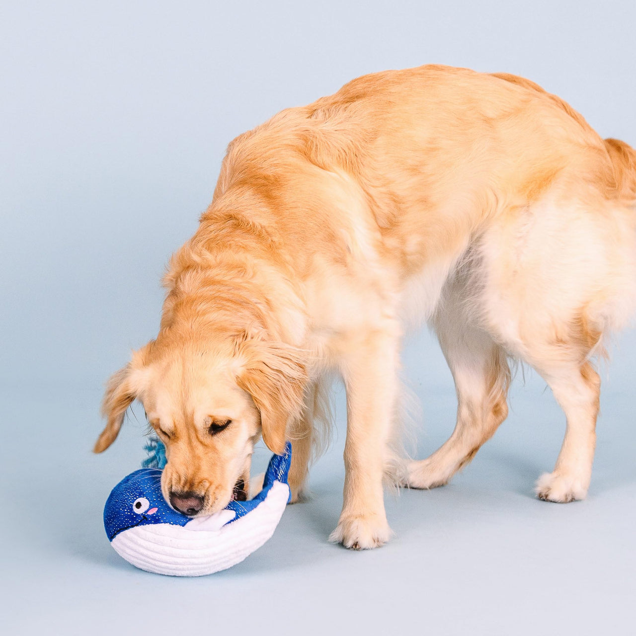 Fringe Studio Plush Dog Toy, Whale, Hello There, Pet Shop Collection (314283)