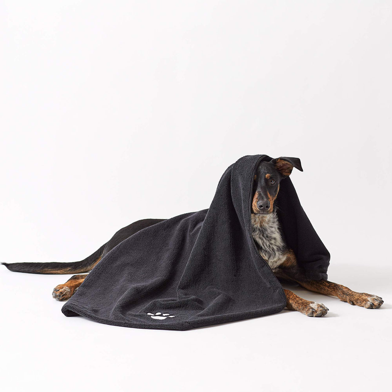 Bone Dry Pet Grooming Towel Collection Absorbent Microfiber X-Large, 41x23.5", Embroidered Black 41x23.5"