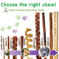 Nature Gnaws Braided Bully Sticks for Dogs - Premium Natural Beef Dental Bones - Long Lasting Dog Chew Treats for Aggressive Chewers - Rawhide Free 3 Count (Pack of 1) 3 Count (Pack of 1)