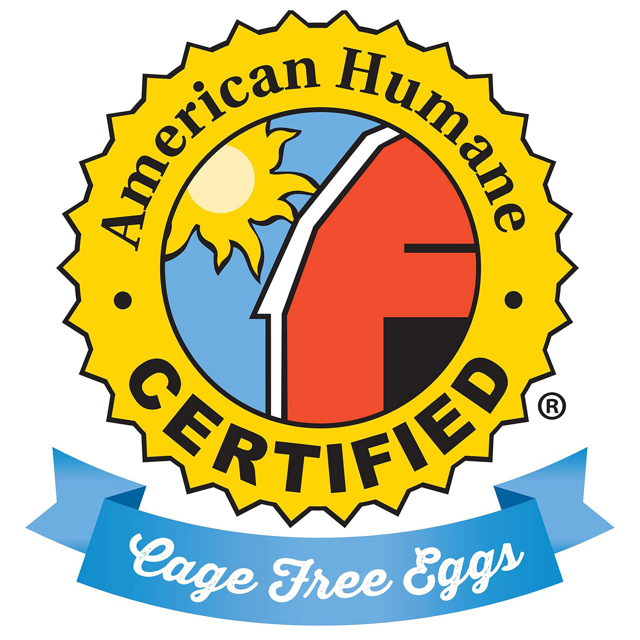 Hellmann's  Light Mayonnaise for Delicious Sandwiches Squeeze Mayo Rich in Omega 3-ALA 11.5 oz