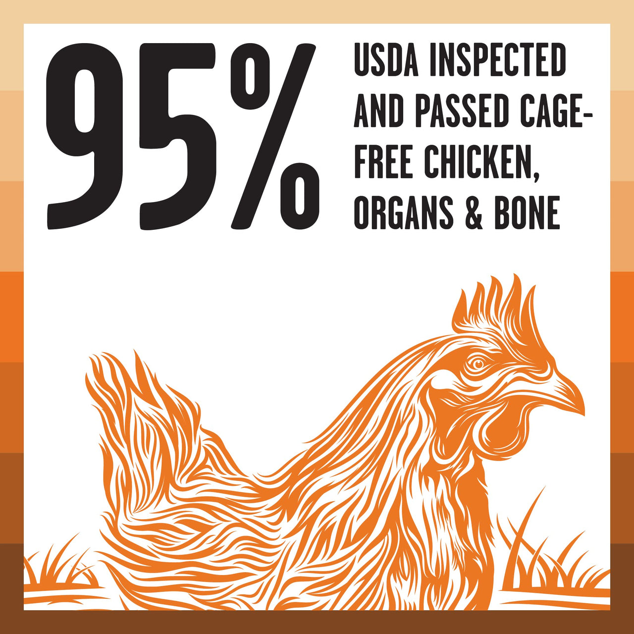 BIXBI Rawbble Freeze Dried Cat Food, Chicken Recipe, 10 oz - 95% Meat and Organs, No Fillers - Pantry-Friendly Raw Cat Food for Meal, Treat or Food Topper - USA Made in Small Batches