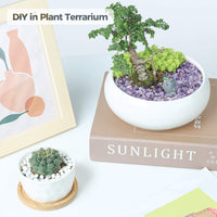 T4U Tumbled Chips Stones Crushed Crystal Quartz 2 LB, Irregular Shaped Gravels Pebble Healing Stones, DIY Smoothed Rock for Potted Plant,Resin Art,Vase Fillers Aquarium Gravel Rocks (Amethyst) #1 - Amethyst