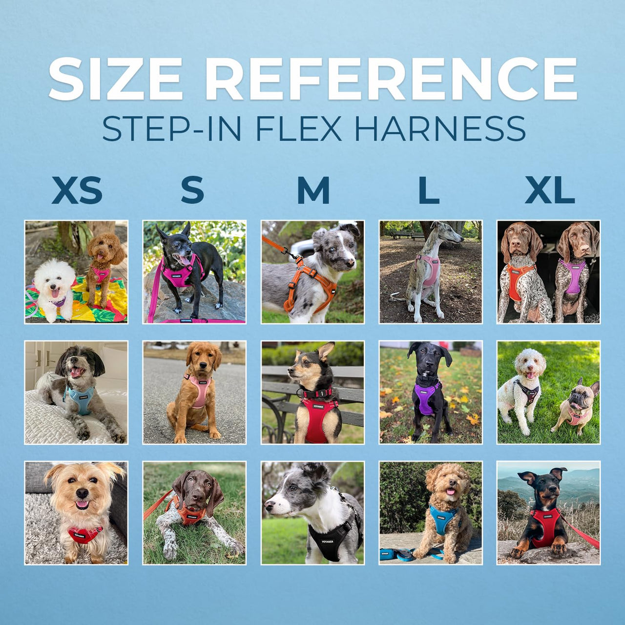 Best Pet Supplies Voyager Adjustable Dog Harness with Reflective Stripes for Walking, Jogging, Heavy-Duty Full Body No Pull Vest with Leash D-Ring, Breathable All-Weather - Harness (Purple), S Harness (Purple) S (Chest: 15 - 18")