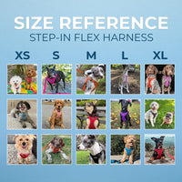 Best Pet Supplies Voyager Adjustable Dog Harness with Reflective Stripes for Walking, Jogging, Heavy-Duty Full Body No Pull Vest with Leash D-Ring, Breathable All-Weather - Harness (Purple), S Harness (Purple) S (Chest: 15 - 18