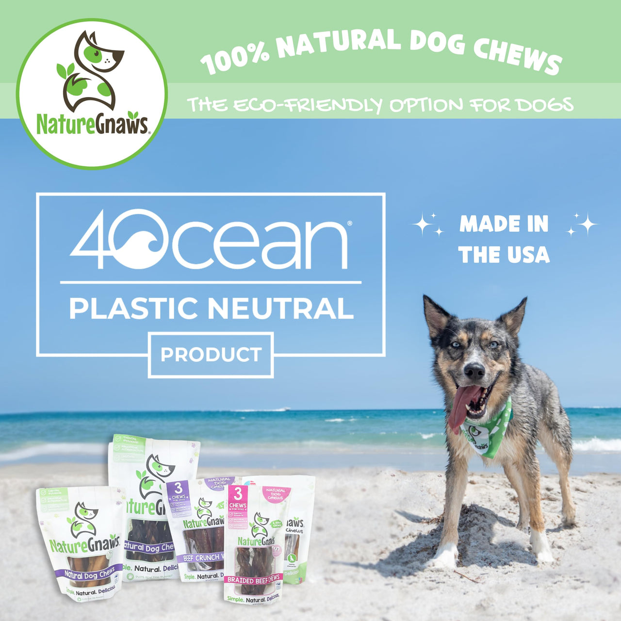 Nature Gnaws USA Beef Tendons for Dogs – Single Ingredient Natural Dental Chews - Long Lasting and Rawhide Free Dog Treats, 8.00 Ounce (Pack of 1)