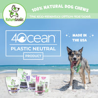 Nature Gnaws USA Beef Tendons for Dogs – Single Ingredient Natural Dental Chews - Long Lasting and Rawhide Free Dog Treats, 8.00 Ounce (Pack of 1)