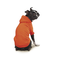 Zack & Zoey Basic Hoodie for Dogs, 20