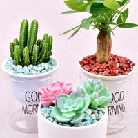 SigMntun Red Jasper Crystal Chips Bulk, Natural UNDYED - 10 oz (283g) Tumbled Stones for Crafts Decorative Rocks Planters, Healing Crystals Reiki Chakra Meditation Energy Balancing Therapy 10 Oz - Red Jasper