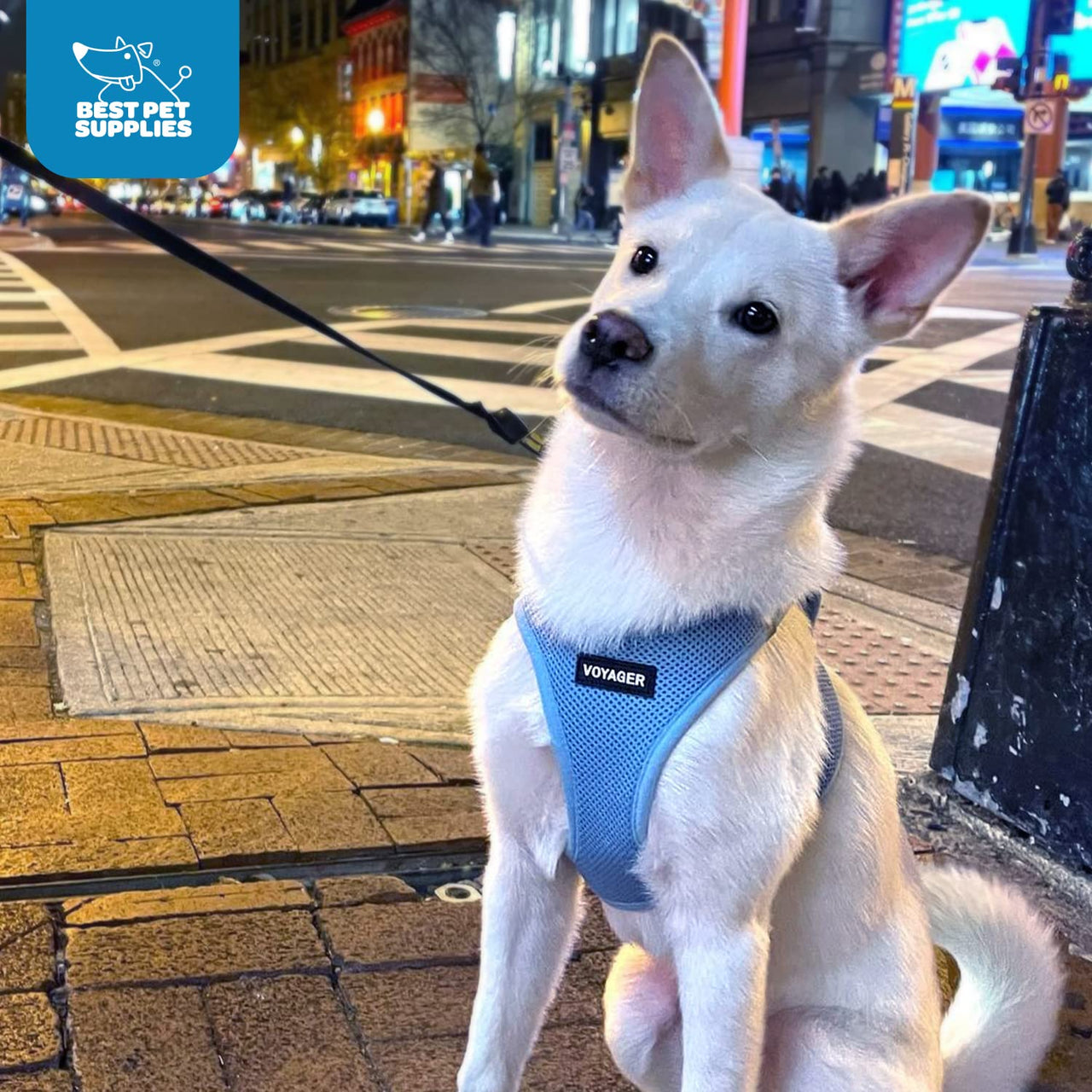 Voyager Step-in Air Dog Harness - All Weather Mesh Step in Vest Harness for Small and Medium Dogs and Cats by Best Pet Supplies - Harness (Baby Blue), L (Chest: 18-20.5") Harness (Baby Blue) L (Chest: 18 - 20.5")