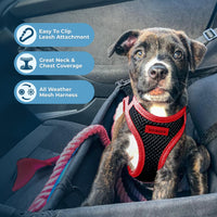 Voyager Step-in Air Dog Harness - All Weather Mesh Step in Vest Harness for Small and Medium Dogs by Best Pet Supplies - Red Trim, XS Harness (Black/Red Trim) XS (Chest: 13 - 14.5