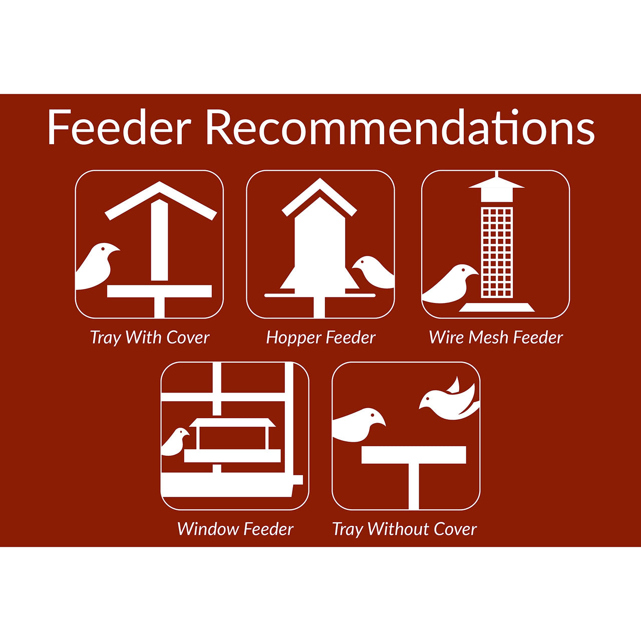 Lyric Golden Safflower Seed - Attracts Cardinals, Chickadees, Woodpeckers & More - 12 lb Bag 12 Pound (Pack of 1)