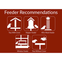 Lyric Golden Safflower Seed - Attracts Cardinals, Chickadees, Woodpeckers & More - 12 lb Bag 12 Pound (Pack of 1)