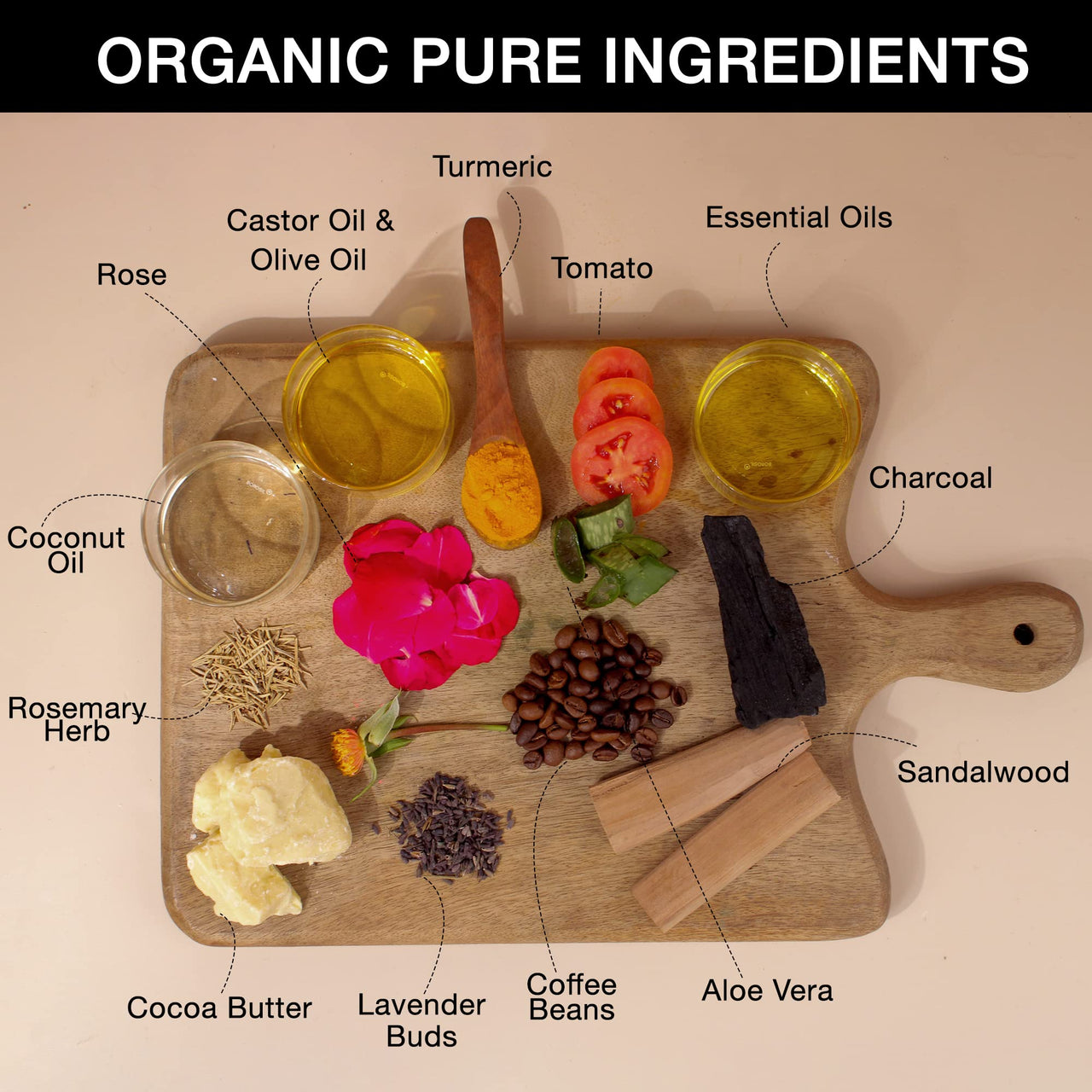 Soulflower Organic Soap Sampler Pack | Men & Women for Brightening, Refreshing, Exfoliating |100% Natural, Handmade, Pure, Vitamin E | Set of 10 (30g Each)