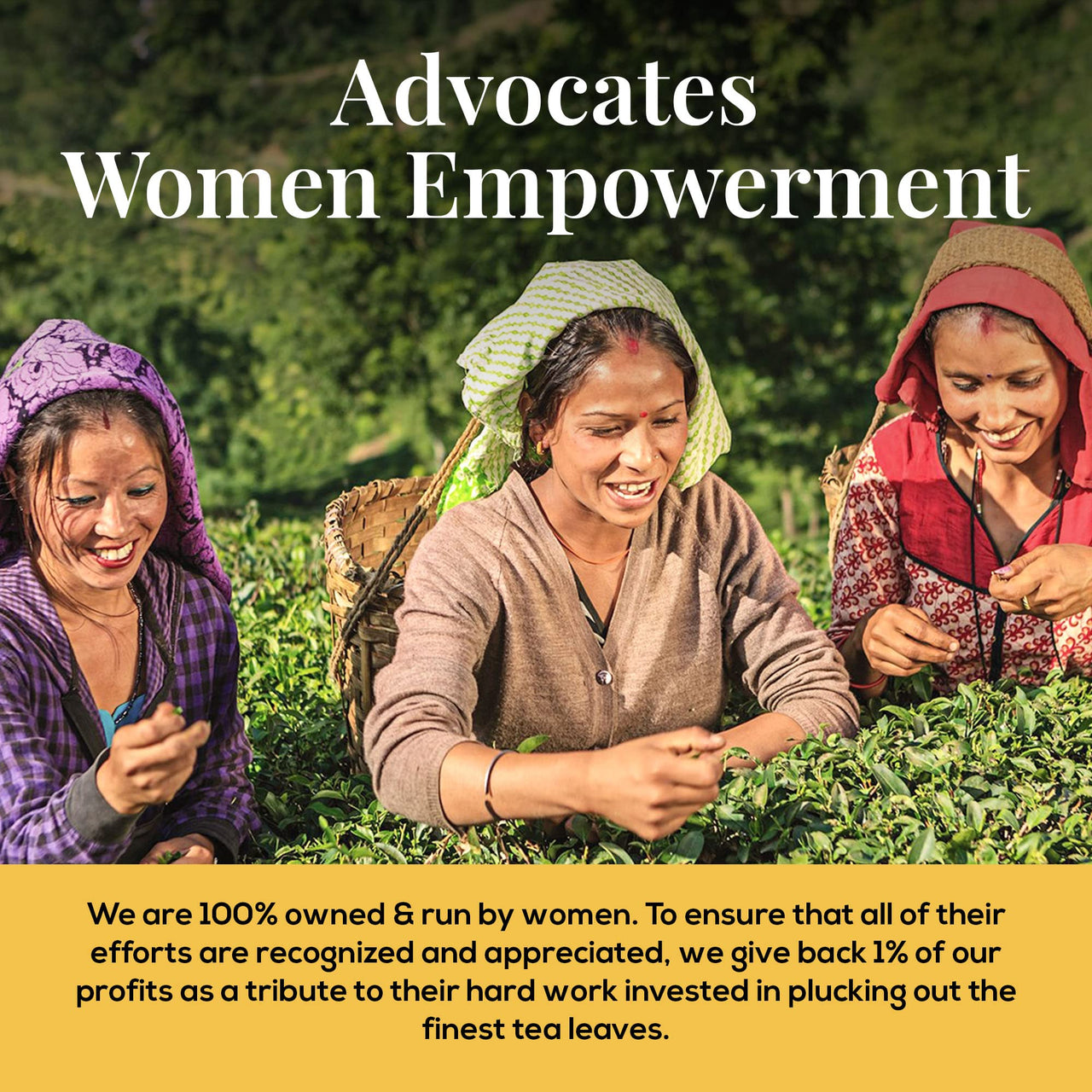 The Tea Heaven | Green Tea Gift - Kashmiri Kahwa-Blended With Saffron, Spices- 100% Natural Ingredients- 17 Tea Bags (16+1 Free Sample), 110 Gram