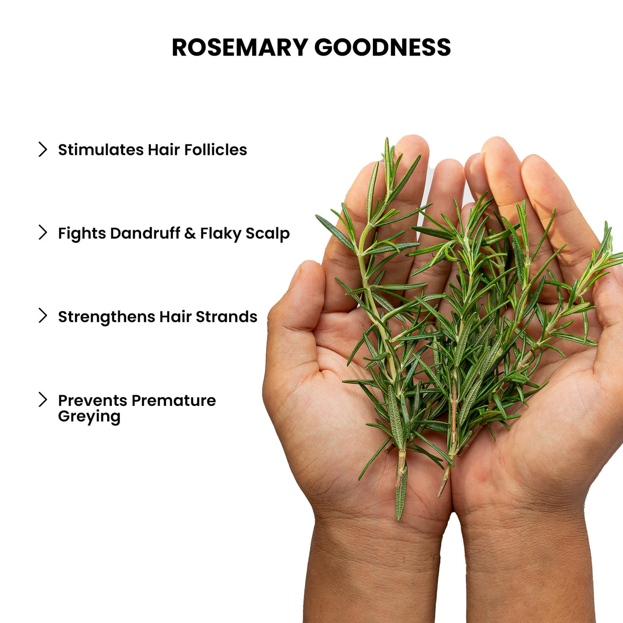 ThriveCo Anti-Hair Fall Kit | With Hair Growth Serum 2.0 (xxml) + Rosemary Shampoo (250ml) |Hair Growth & Hair Fall Control For Men and Women