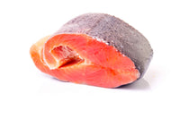 PLATO Thinkers Salmon, Natural color, 10 Ounce (Pack of 1) 10 Ounce (Pack of 1)