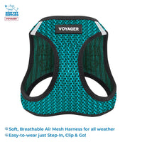 Voyager Step-in Air All Weather Mesh Harness and Reflective Dog 5 ft Leash Combo with Neoprene Handle, for Small, Medium and Large Breed Puppies by Best Pet Supplies - Turquoise, XL