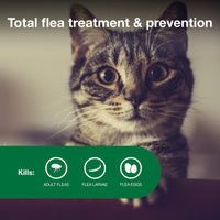 Advantage II Small Cat Vet-Recommended Flea Treatment & Prevention | Cats 5-9 lbs. | 2-Month Supply 2 Pack Small Cat only