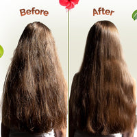 Mamaearth Kerala Thaali Conditioner 250 millilitre with Hibiscus, Amla, Reetha & Methi Dana for Smooth, Thick & Long Hair|Soft & Shiny Hair |12 Potent 100% Natural Herbs |Kerala Expertise