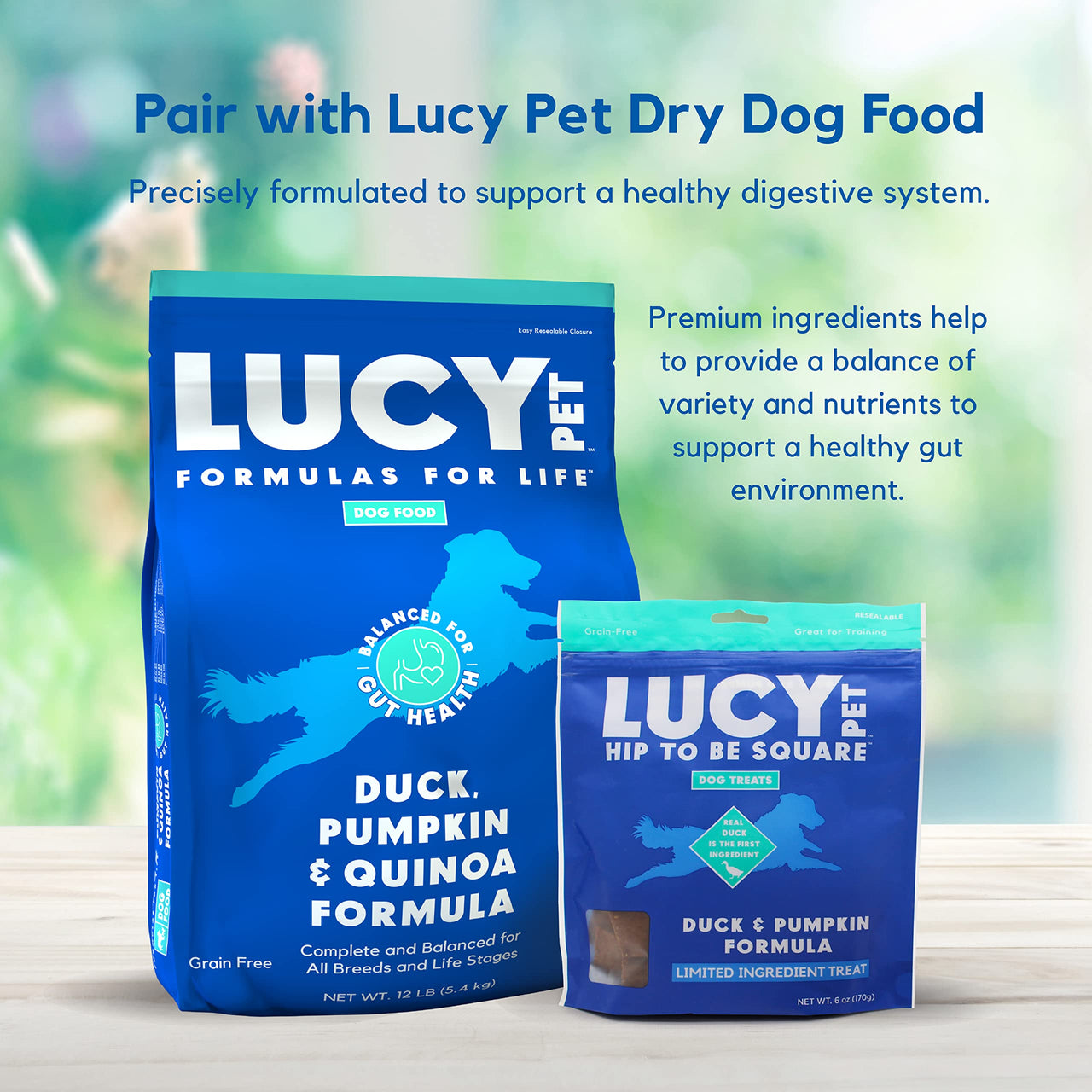 Lucy Pet Hip To Be Square Duck And Pumpkin Dog Treats 6Oz 6 Ounce (Pack of 1)