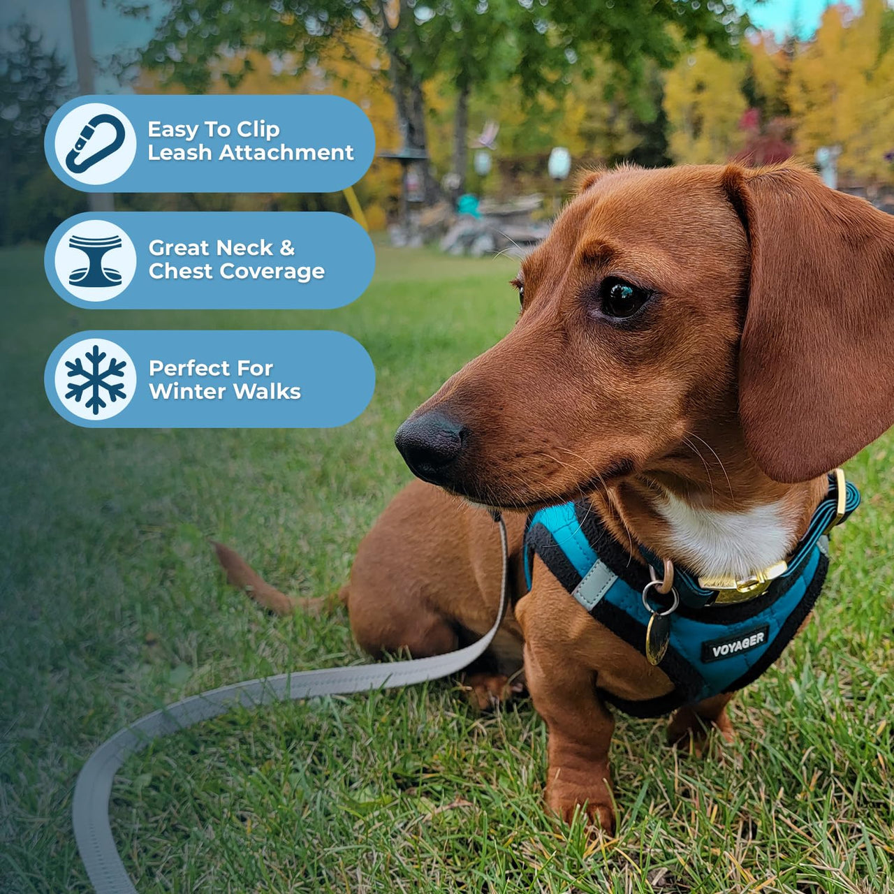 Voyager Step-In Plush Dog Harness – Soft Plush, Step In Vest Harness for Small and Medium Dogs by Best Pet Supplies - Harness (Turquoise Plush), M (Chest: 16 - 18") Harness (Turquoise Plush) M (Chest: 16 - 18")