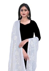 AKSHAR LLC Women's  Embroidered Chiffon Dupatta