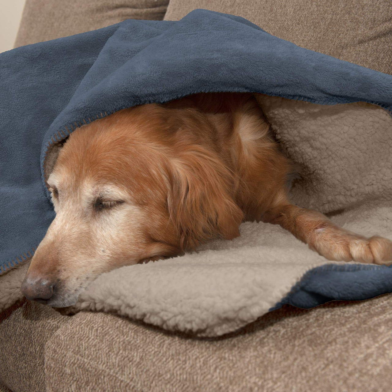 Furhaven Waterproof & Self-Warming Throw Blanket for Dogs & Indoor Cats, Washable & Reflects Body Heat - Terry & Sherpa Dog Blanket - Cozy Denim, Large