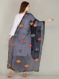 DIAMO Embroidered Chiffon Women's  Dupatta