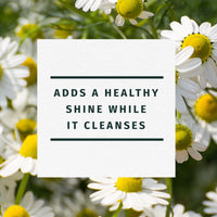 Herbal Essences Shine Shampoo, Chamomile 865ml