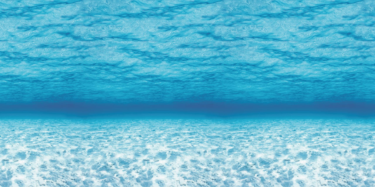 Fadeless Bulletin Board Paper, Fade-Resistant Paper for Classroom Decor, 48 x 12, Under the Sea, 1 Roll