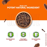 Dabur Herb'l Clove 300g (200g + 100g) - Cavity Protection Toothpaste with No added Fluoride and Parabens