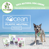 Nature Gnaws Turkey Tendons - Premium Natural Chew Treats - Delicious Reward Snack for Small Medium & Large Dogs - Made in The USA 8 oz Bag 8 Ounce (Pack of 1)