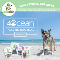 Nature Gnaws USA Turkey Tendons for Dogs - Premium Natural Chew Treats - Delicious Reward Snack for Small Medium & Large Dogs - Made in The USA 4 oz Bag 1 Pound (Pack of 1)