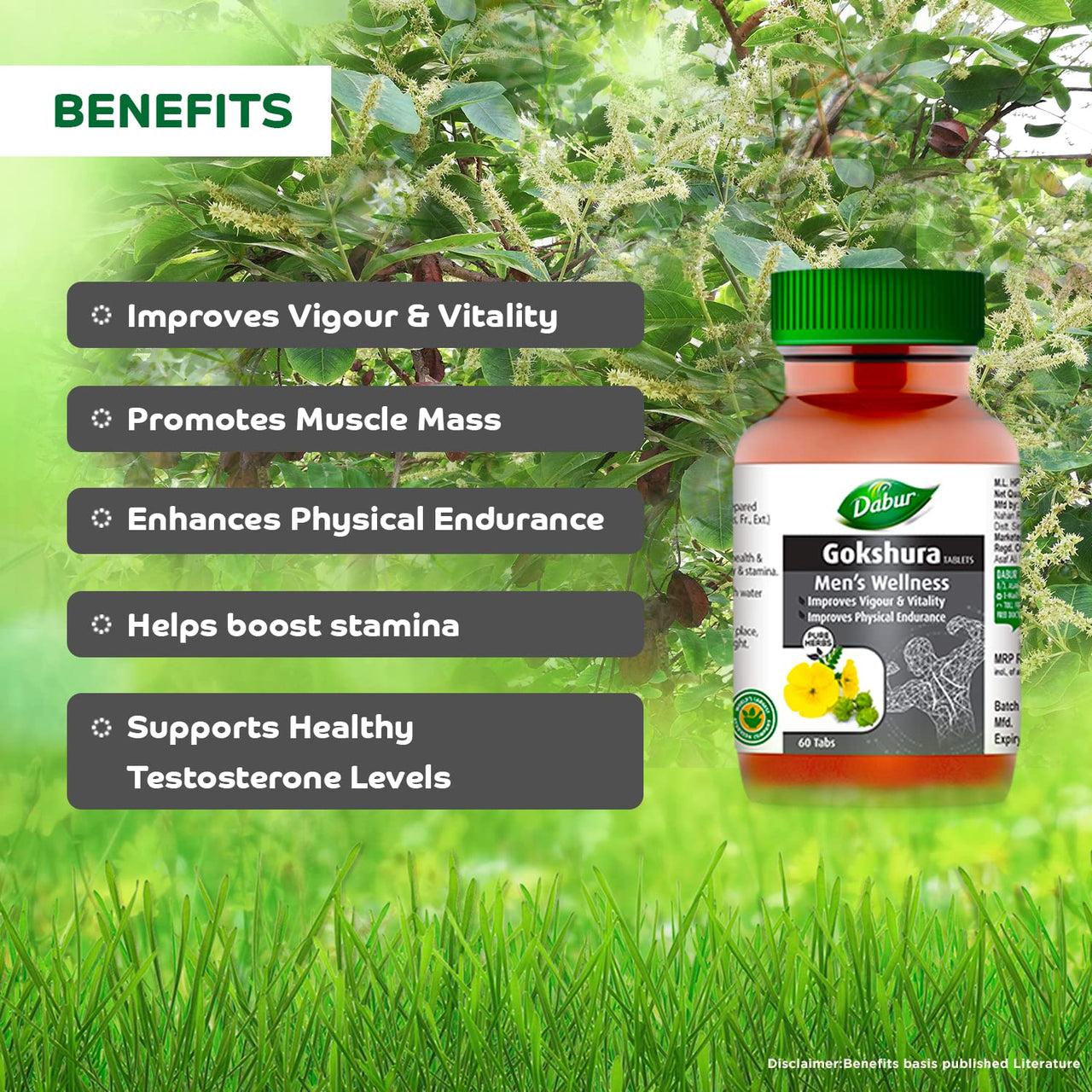 Dabur Gokshura Tablets - 60 Tablets | Boosts Vitality & Stamina | Supports Gut Health