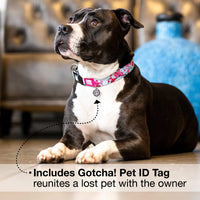 Max & Molly Soft Padded Neoprene Dog Collar w/Smart ID Gotcha! QR Pet Safety Tag, Durable, Waterproof, Anti-Stink, Machine Washable Collar for Dogs, Cherry Bloom Design, S