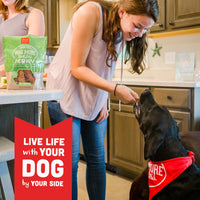 Cloud Star Wag More Bark Less Chicken & Sweet Potato Recipe Grain-Free Jerky Dog Treats 10 Ounce Bag, Model: 693804191113