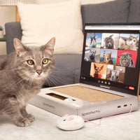 ScratchPad Pro - Laptop Scratcher Cat Toy - Unique Cat Toy 3-in-1 with Stickers