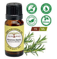 All Naturals Rosemary Essential Oil (Spain) 100% Pure for Skin, Hair, Dandruff, Memory, Focus & Aroma - 15 mL